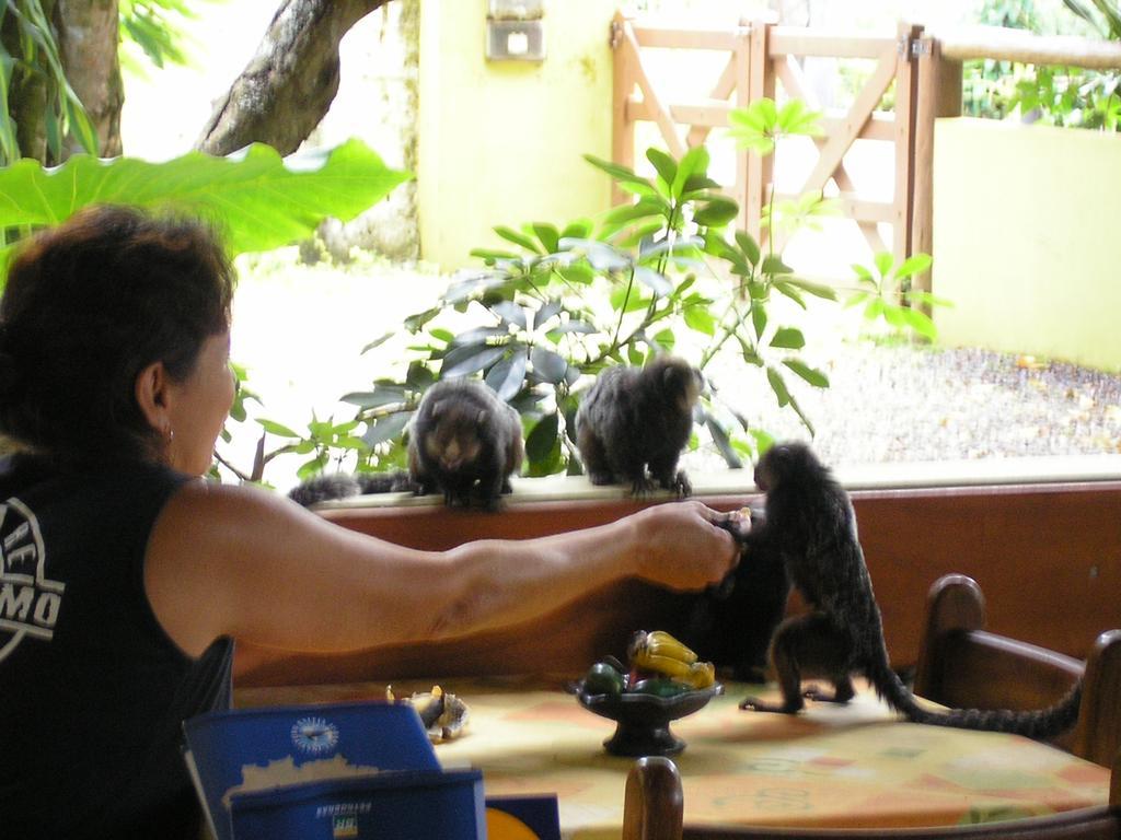 Pousada Solarium Itacare Ngoại thất bức ảnh